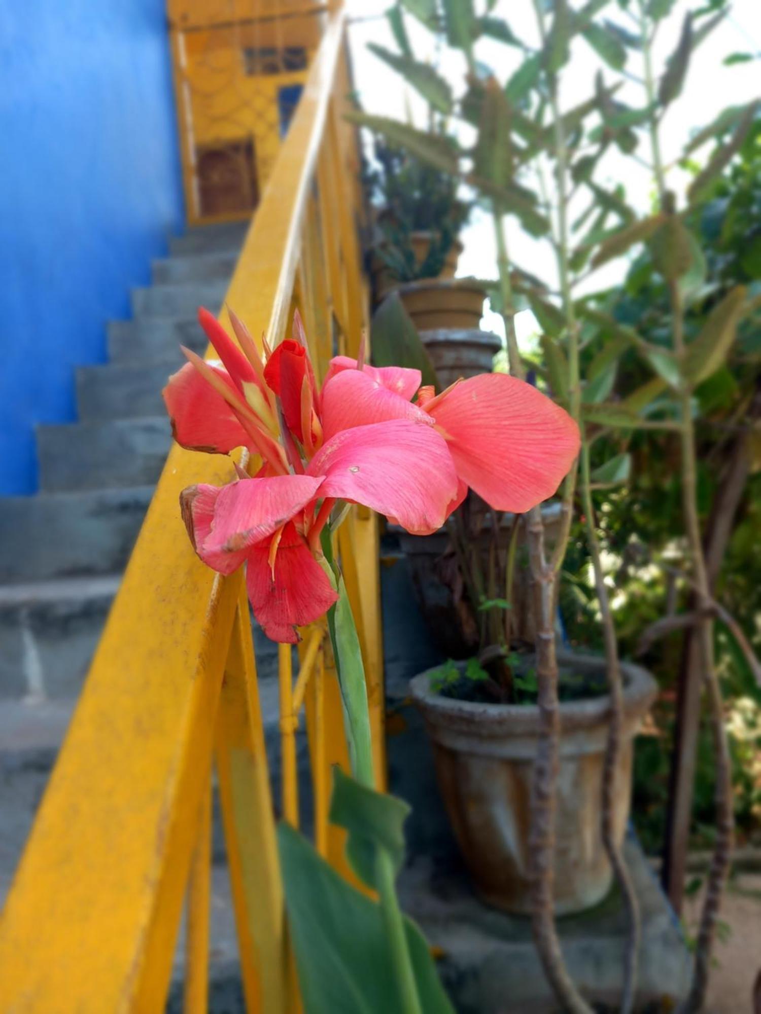 La Locanda Lodge - Apartment, 4 Double Rooms & Kitchen Near The Beach จัมเบียนี ภายนอก รูปภาพ