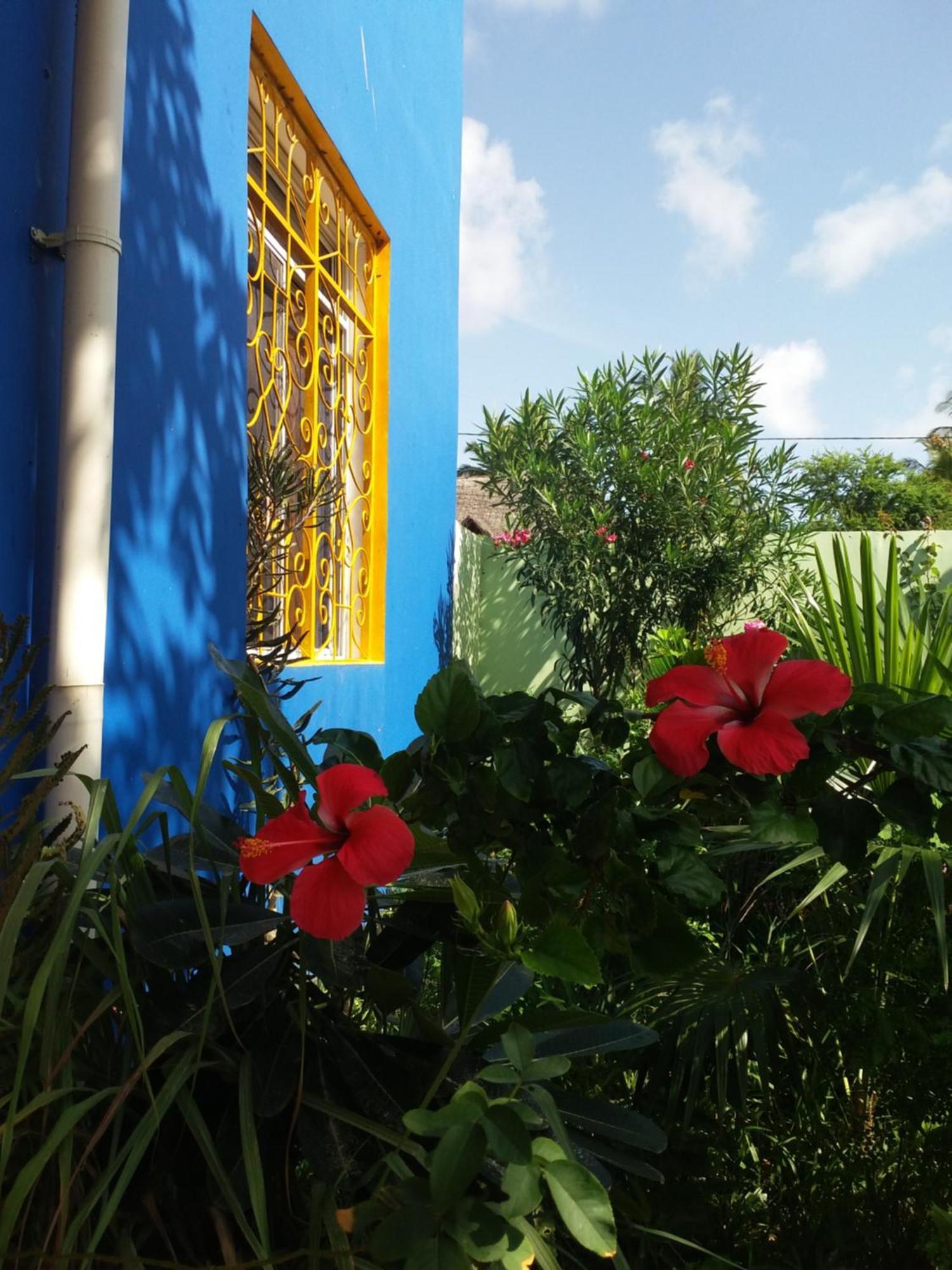 La Locanda Lodge - Apartment, 4 Double Rooms & Kitchen Near The Beach จัมเบียนี ภายนอก รูปภาพ